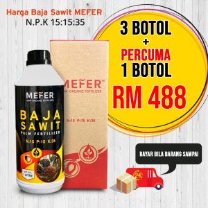 Pakej Hot Selling