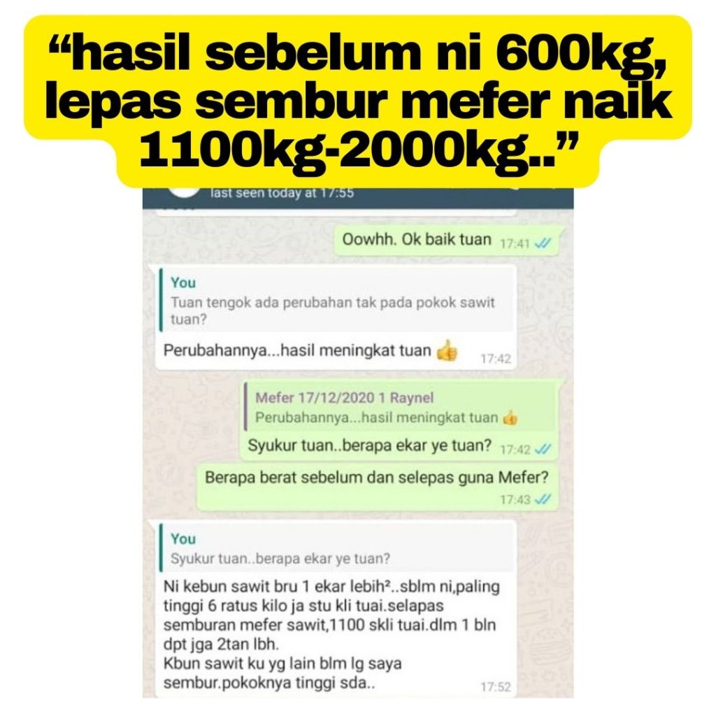 baja mefer, baja untuk membesarkan buah sawit