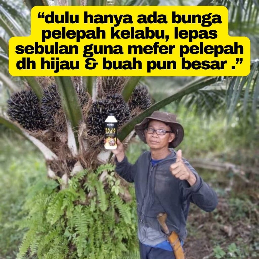 baja sawit terbaik baja mefer