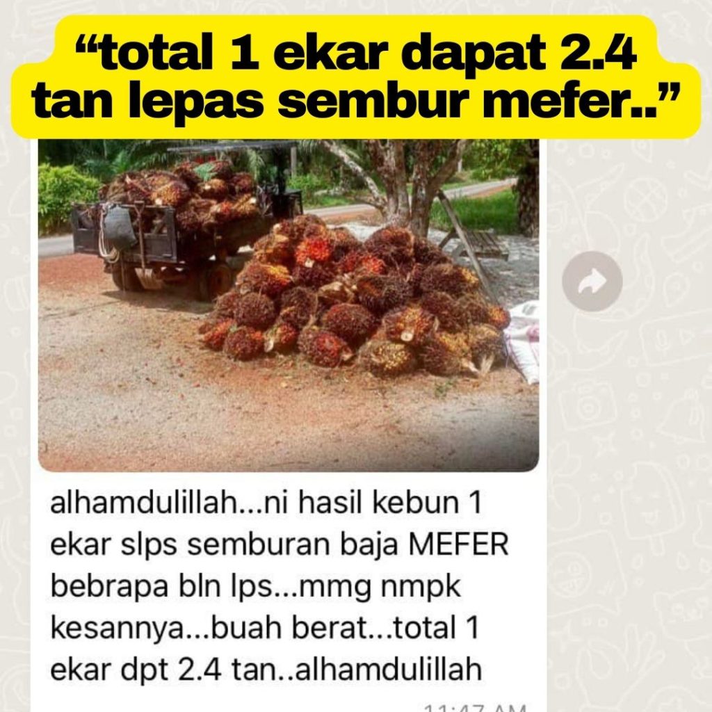 baja sawit mefer baja sawit terbaik baja mefer