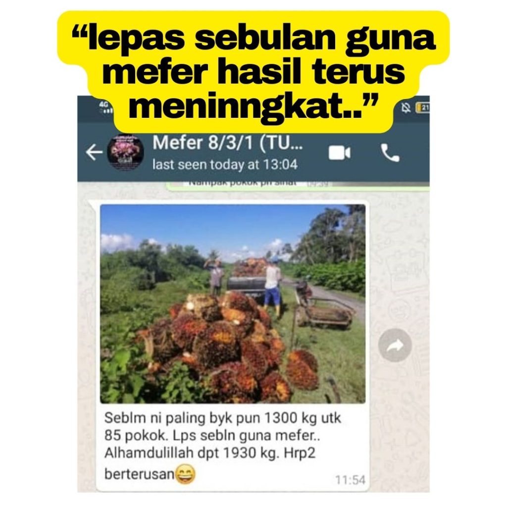 baja mefer, baja untuk membesarkan buah sawit baja sawit terbaik