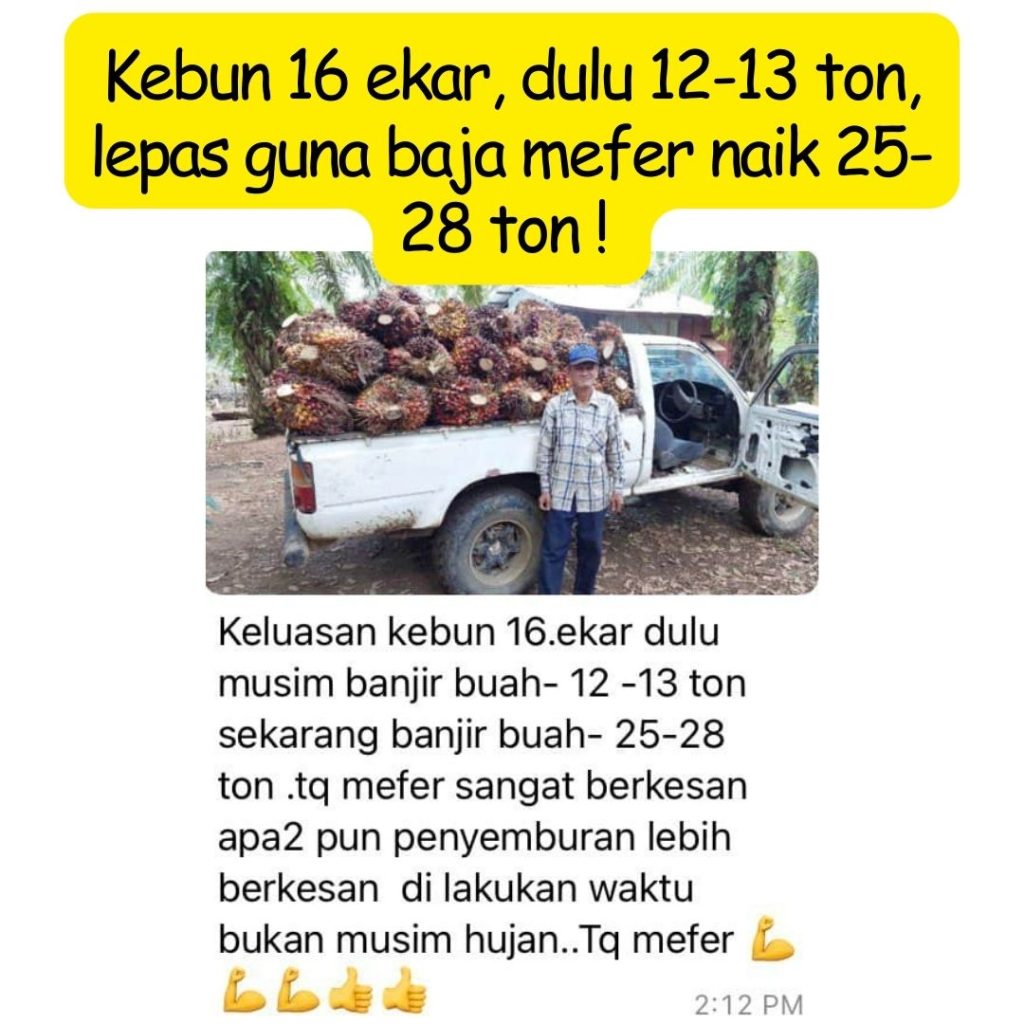 baja mefer baja sawit terbaik baja sawit mefer untuk buah besar